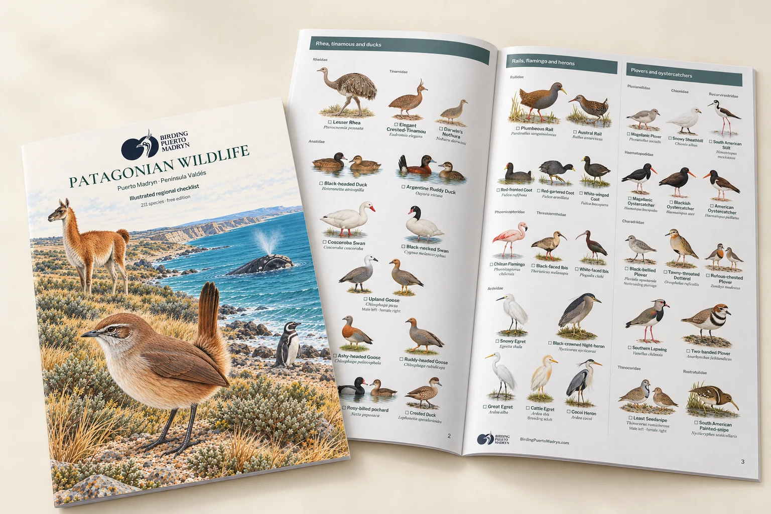 Patagonian Wildlife cover and illustrated pages, shown as a printed magazine