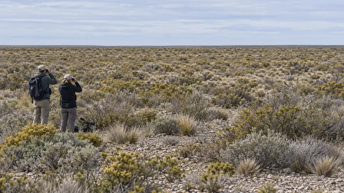 Two observers using binoculars in open steppe