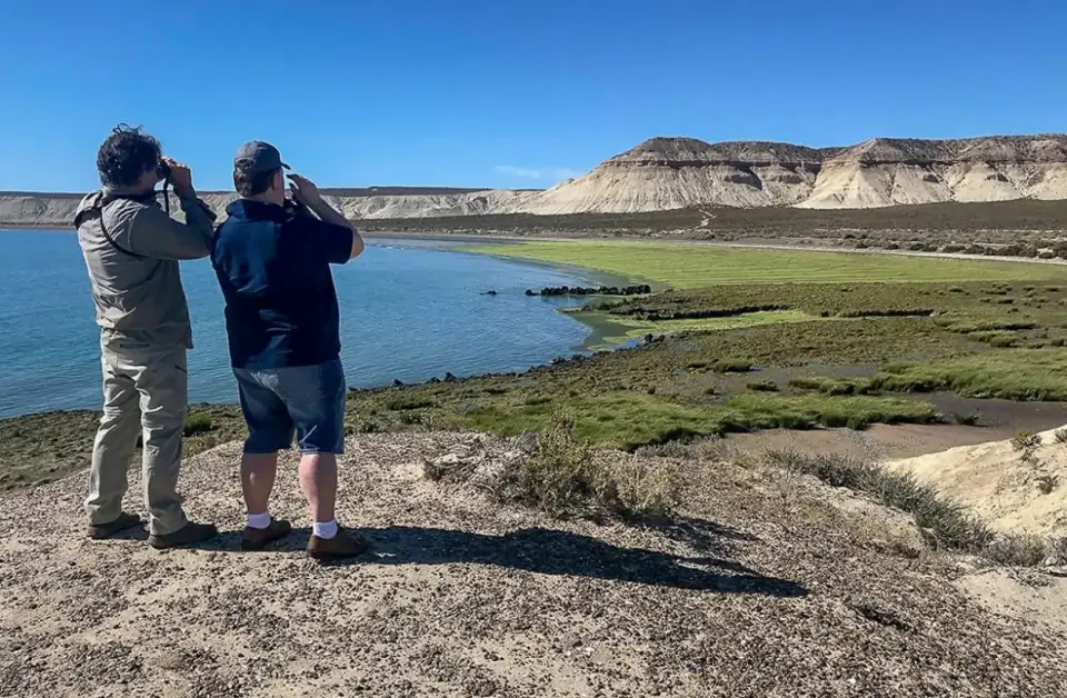 Birdwatchers on the Patagonian coast