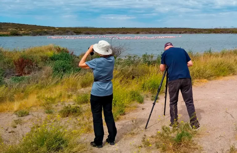 Birders at a coastal lagoon near Puerto Madryn