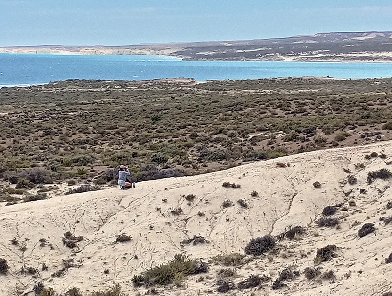 Observación de aves en la estepa patagónica