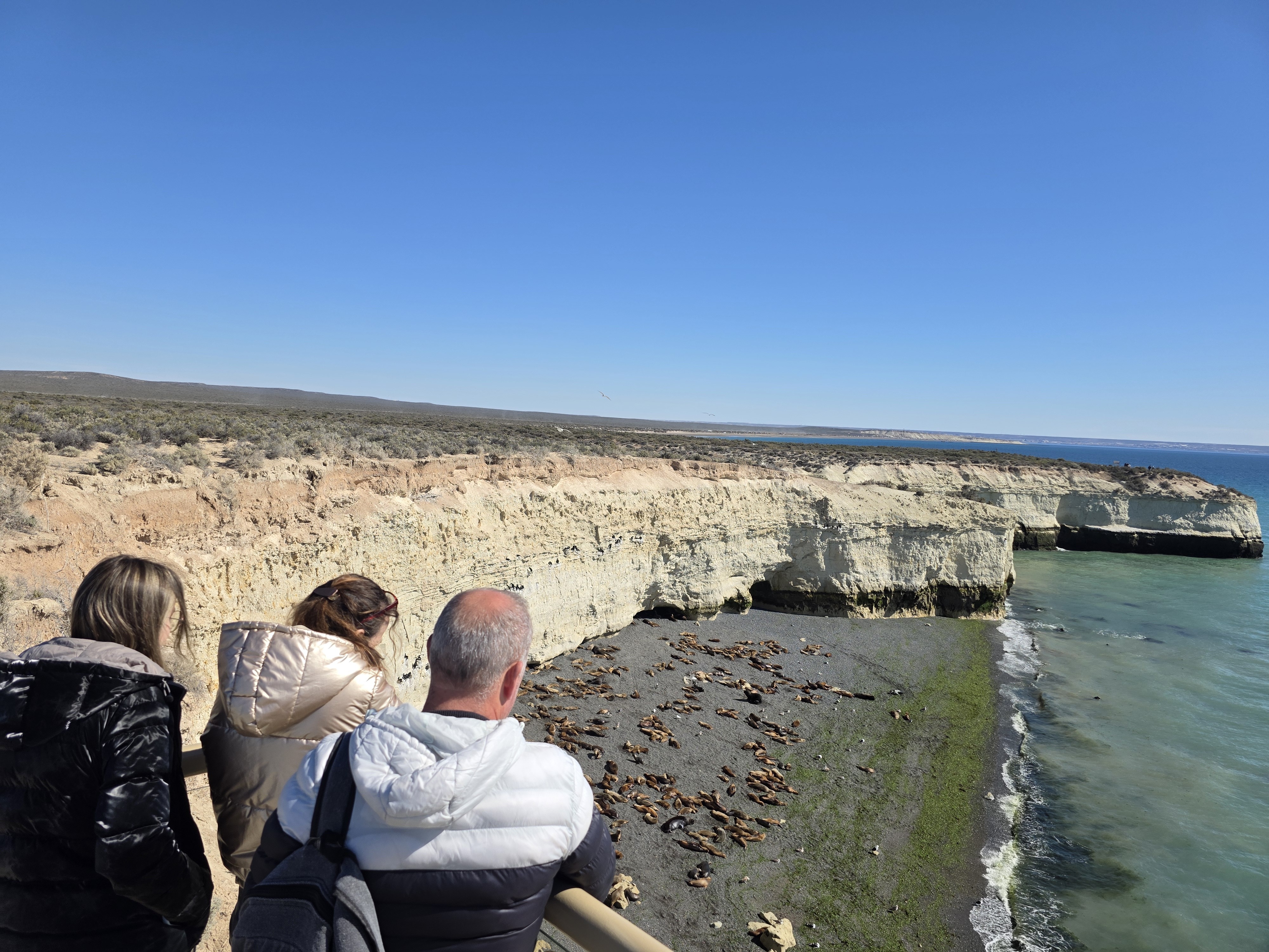 Punta Loma: Sea lion and cormorant colony
