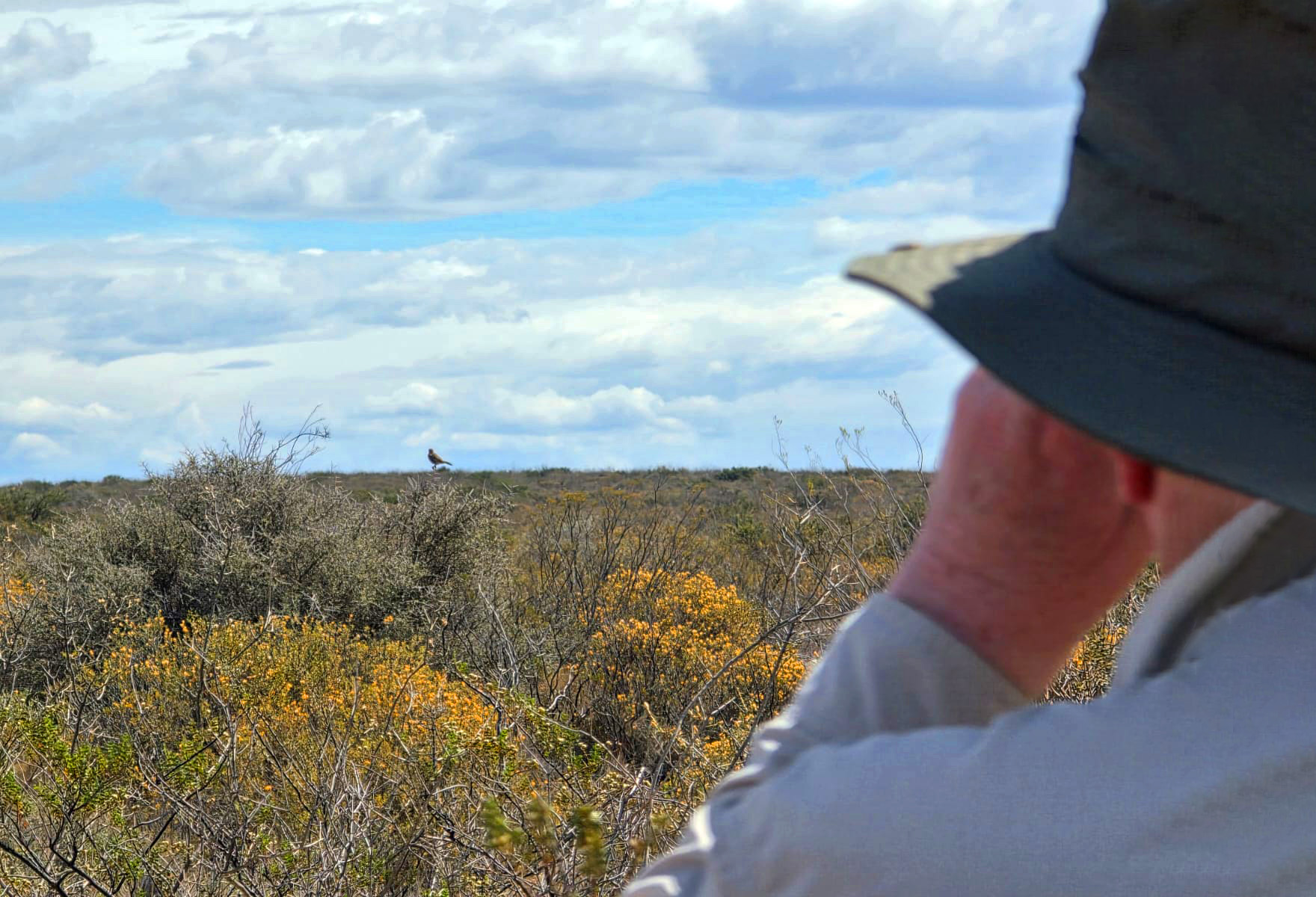 Private natural history outing for cruise passengers