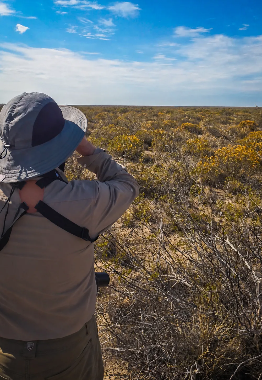 Guest birding in Monte and Patagonian steppe habitat near Puerto Madryn